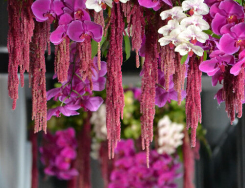 Hanging Gardens of Beautiful